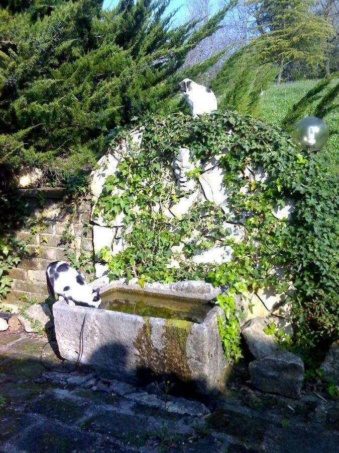 Villa Con Piscina Canale Monterano Dış mekan fotoğraf